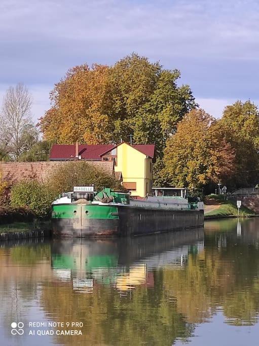 ブリュマトStrasbourg 3 Pieces Avec Jardinアパートメント エクステリア 写真