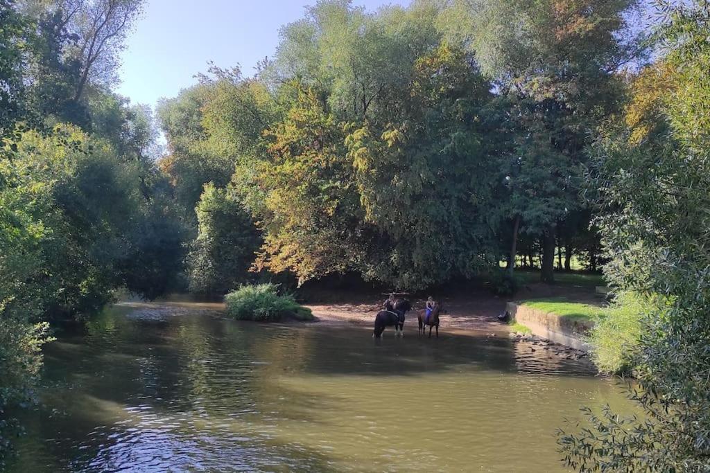 ブリュマトStrasbourg 3 Pieces Avec Jardinアパートメント エクステリア 写真